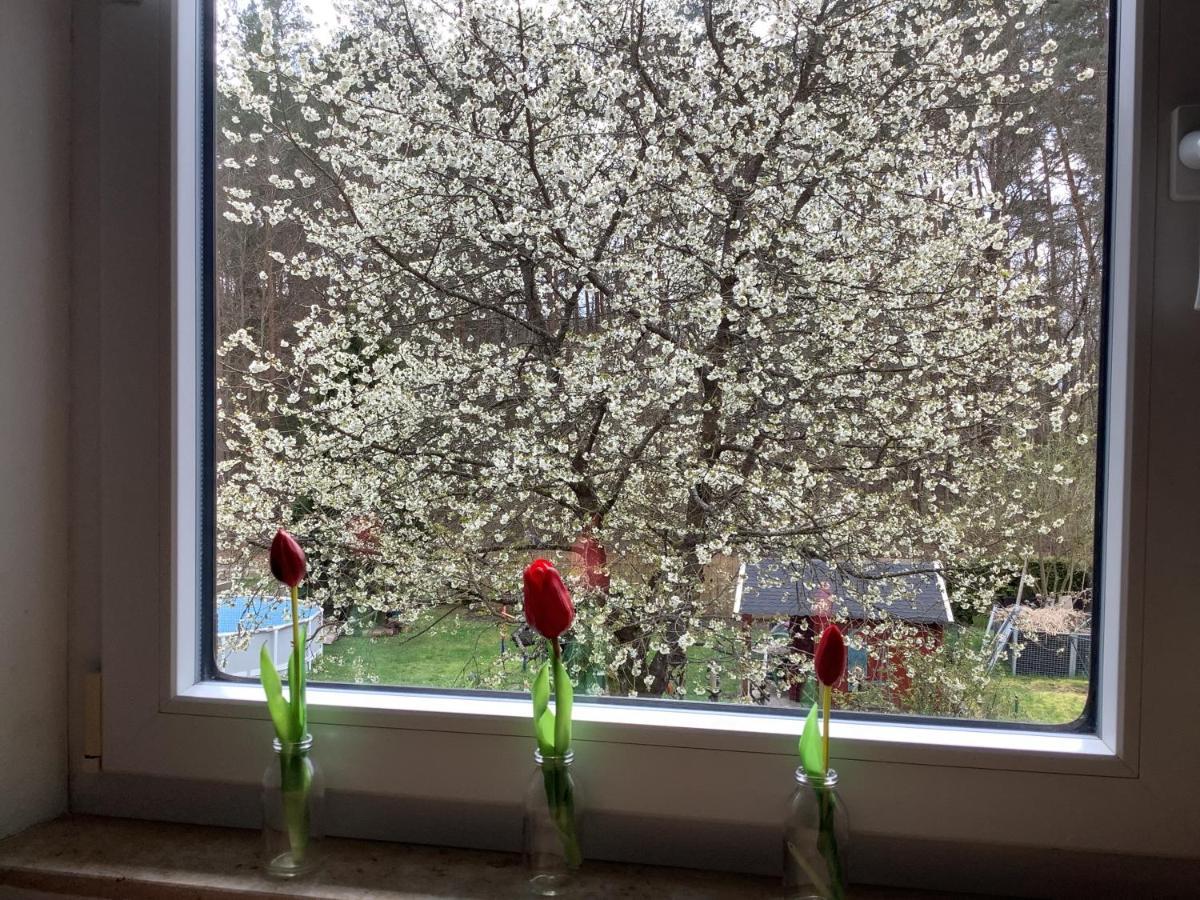 Ferienwohnung Schwarzachhoehe Nur Fuer Erwachsene Wendelstein Extérieur photo
